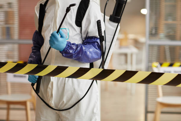 Professional Sewage Cleanup technician working in Brillion, WI